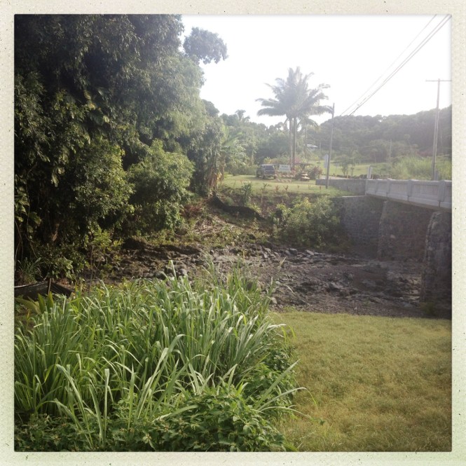 tumblr_msamaiRjVN1rhrolgo10_1280