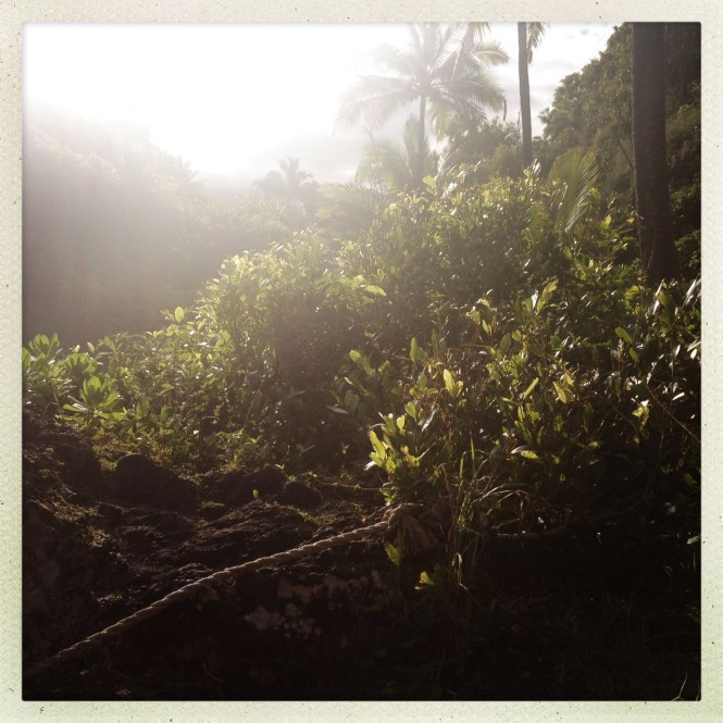 tumblr_msamaiRjVN1rhrolgo3_1280