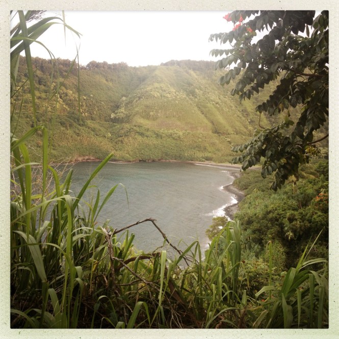 tumblr_msamaiRjVN1rhrolgo4_1280