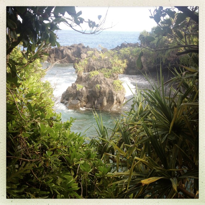 tumblr_msamaiRjVN1rhrolgo8_1280