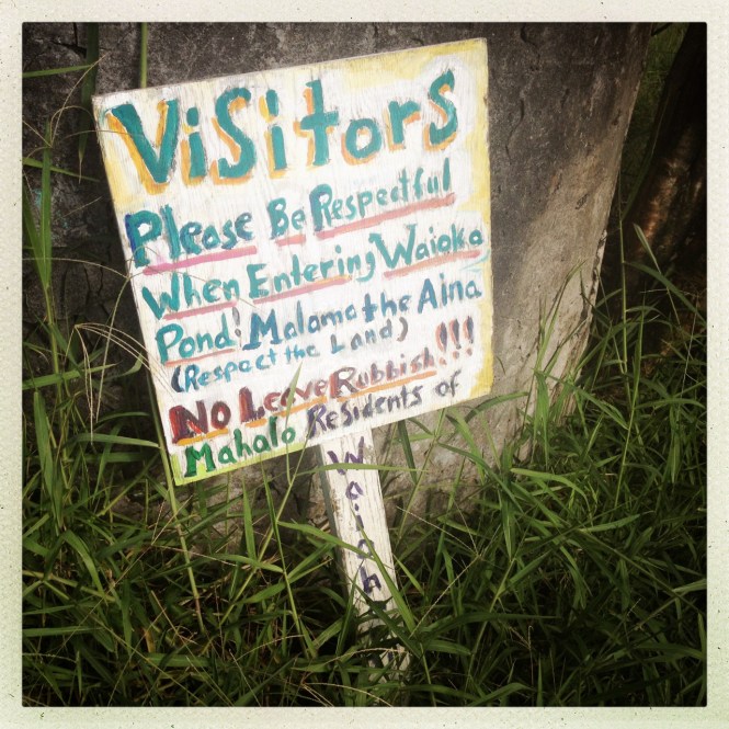 tumblr_msamaiRjVN1rhrolgo9_1280