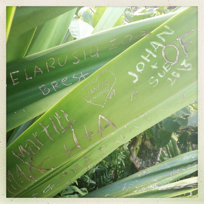 tumblr_msame0onPZ1rhrolgo4_1280