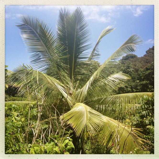 tumblr_msamhfPuym1rhrolgo10_1280