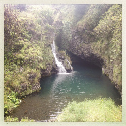 tumblr_msamhfPuym1rhrolgo7_250