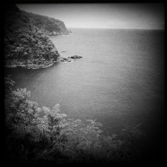 tumblr_msamlx5FlE1rhrolgo1_540