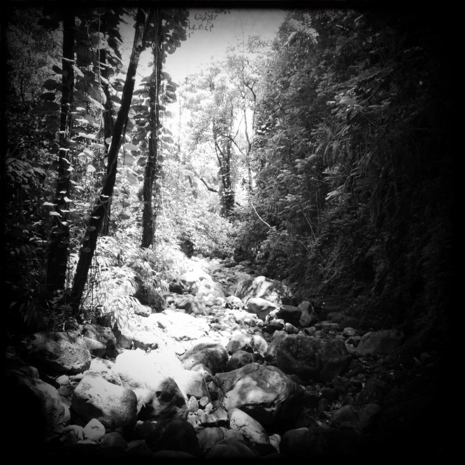 tumblr_msamlx5FlE1rhrolgo3_1280