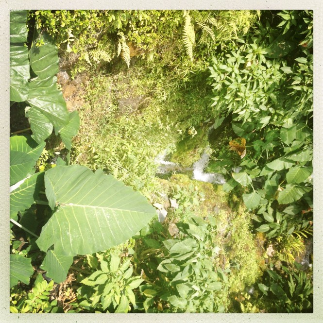 tumblr_msamlx5FlE1rhrolgo5_1280