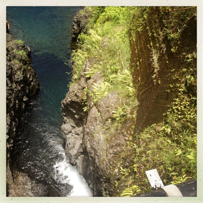 tumblr_msamlx5FlE1rhrolgo6_1280