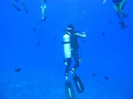 tumblr_msar8zZlIG1rhrolgo1_540