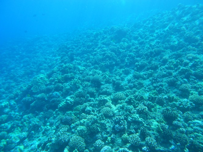 tumblr_msar8zZlIG1rhrolgo3_1280