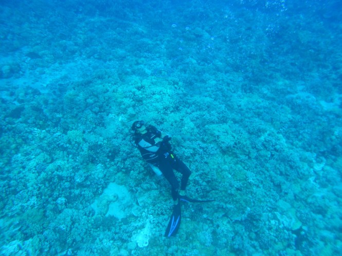 tumblr_msar8zZlIG1rhrolgo4_1280