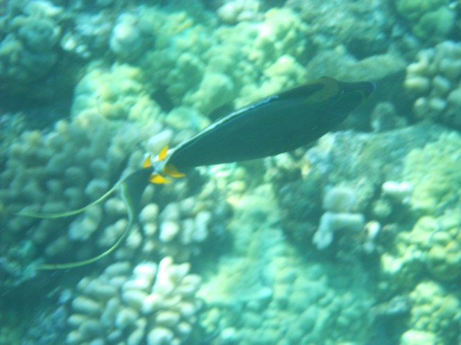 tumblr_msarxd8YIg1rhrolgo10_1280