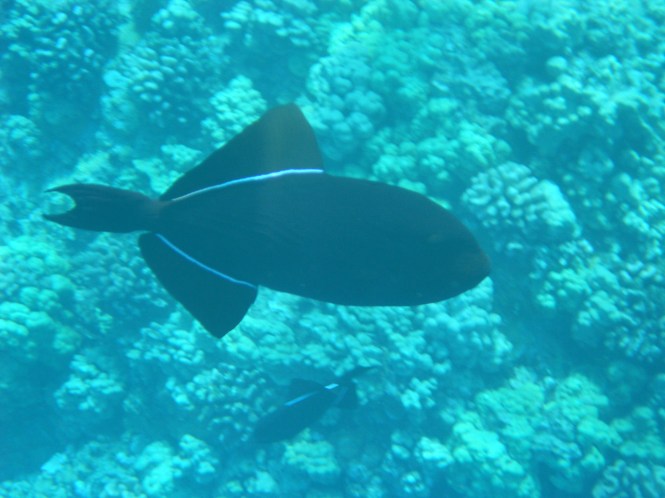 tumblr_msarxd8YIg1rhrolgo3_1280