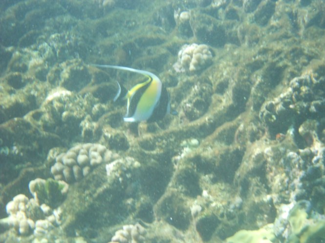 tumblr_msas0w4KZx1rhrolgo10_1280