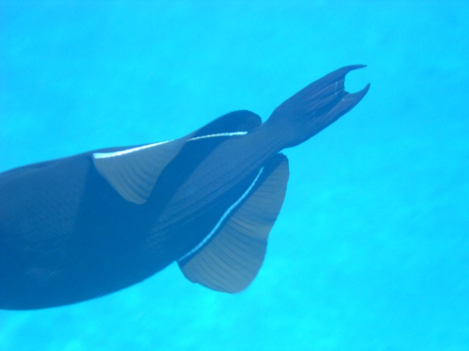 tumblr_msas4icPFF1rhrolgo4_1280