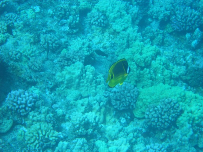 tumblr_msas4icPFF1rhrolgo9_1280