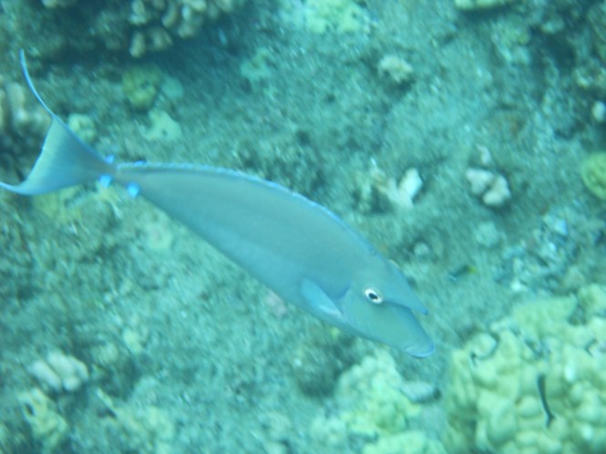 tumblr_msasn6vkjb1rhrolgo10_1280