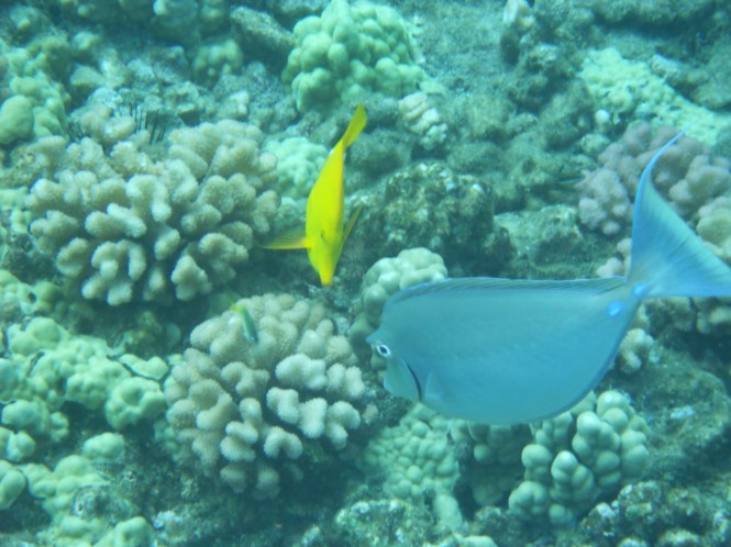 tumblr_msasn6vkjb1rhrolgo4_1280