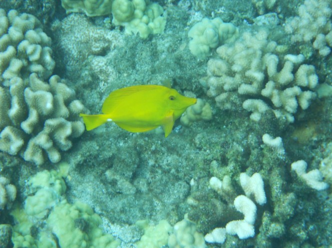 tumblr_msasn6vkjb1rhrolgo9_1280