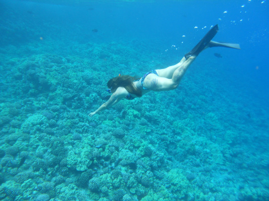 tumblr_mshtndTps81rhrolgo1_540