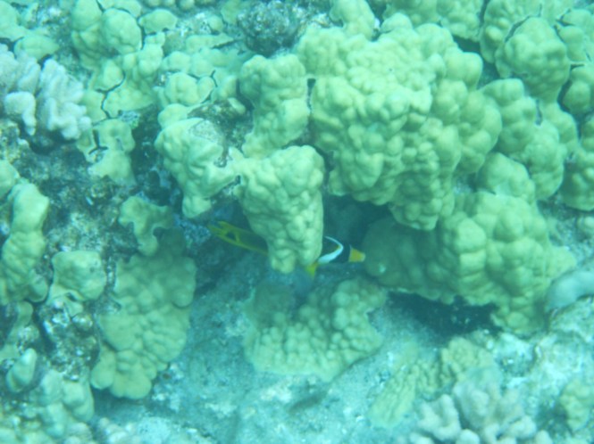 tumblr_mshtndTps81rhrolgo2_1280