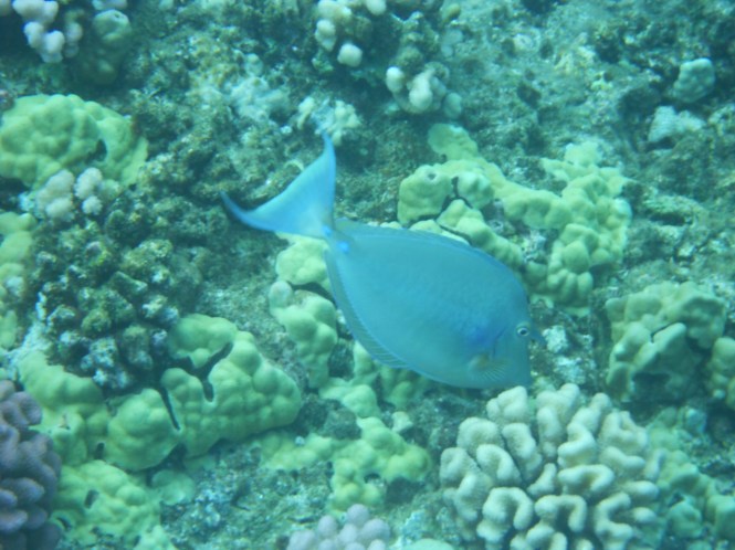 tumblr_mshtndTps81rhrolgo4_1280