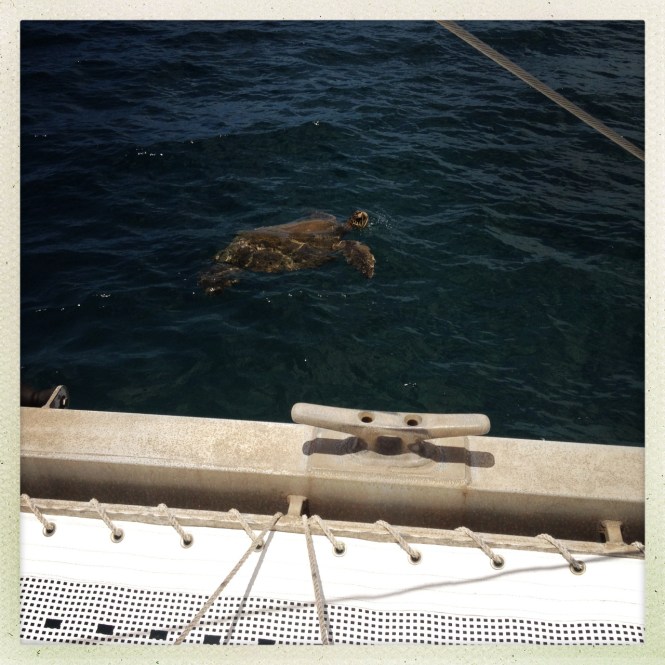 tumblr_mshuipoEXP1rhrolgo2_1280