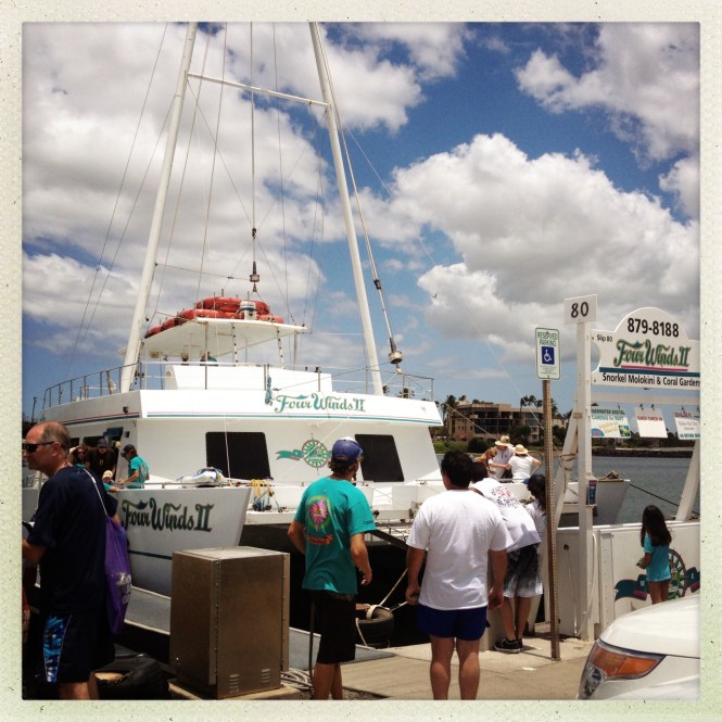 tumblr_mshuipoEXP1rhrolgo4_1280