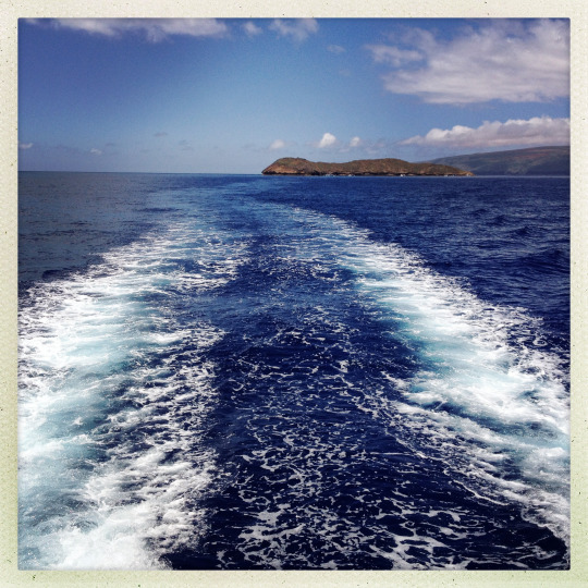 tumblr_mshuipoEXP1rhrolgo6_540