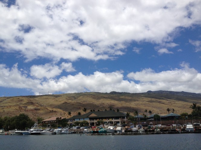 tumblr_mshuipoEXP1rhrolgo9_1280