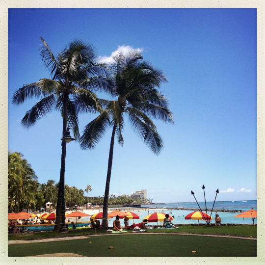 tumblr_mshvwdii0e1rhrolgo2_540