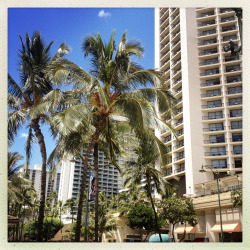 tumblr_mshvy5GQbH1rhrolgo10_250