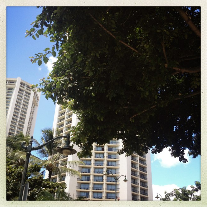 tumblr_mshvy5GQbH1rhrolgo3_1280