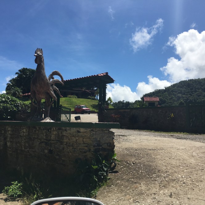 2016-08-24 11.27.10-1