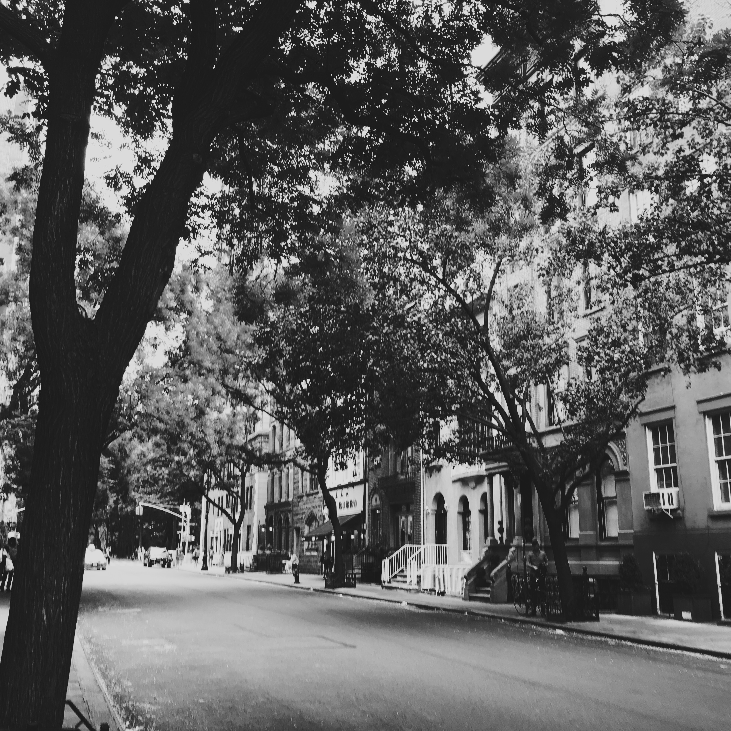 2017-08-14 15.45.43-1