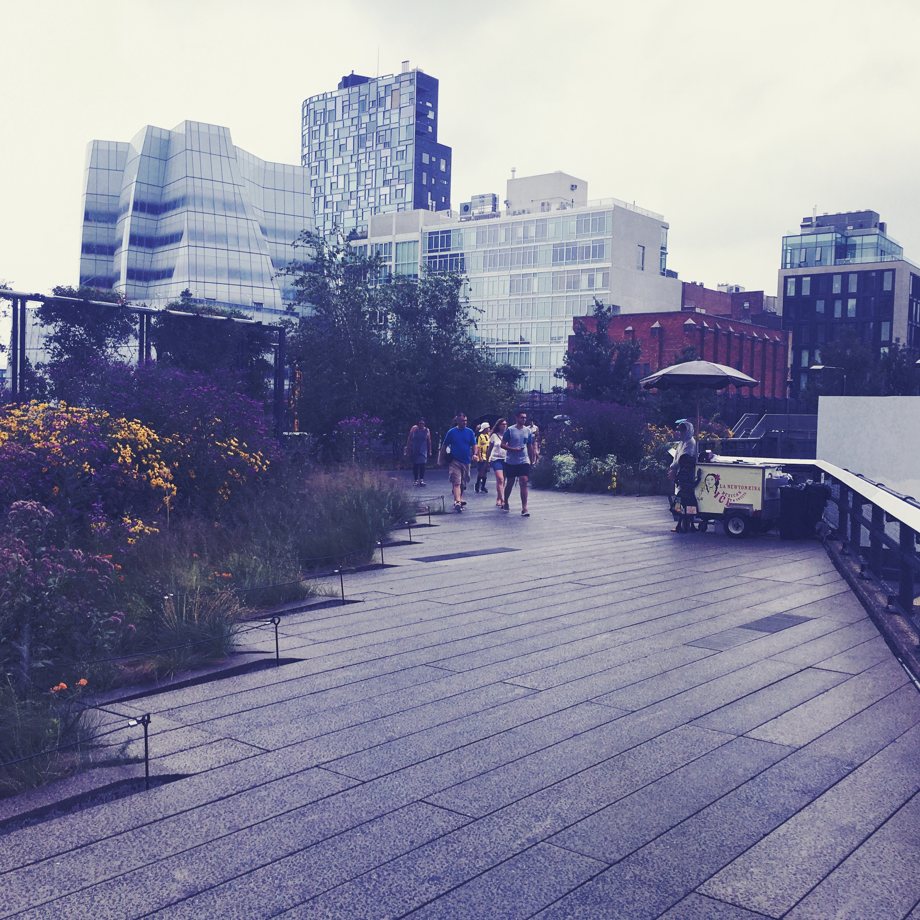 2017-08-15 12.50.32-2