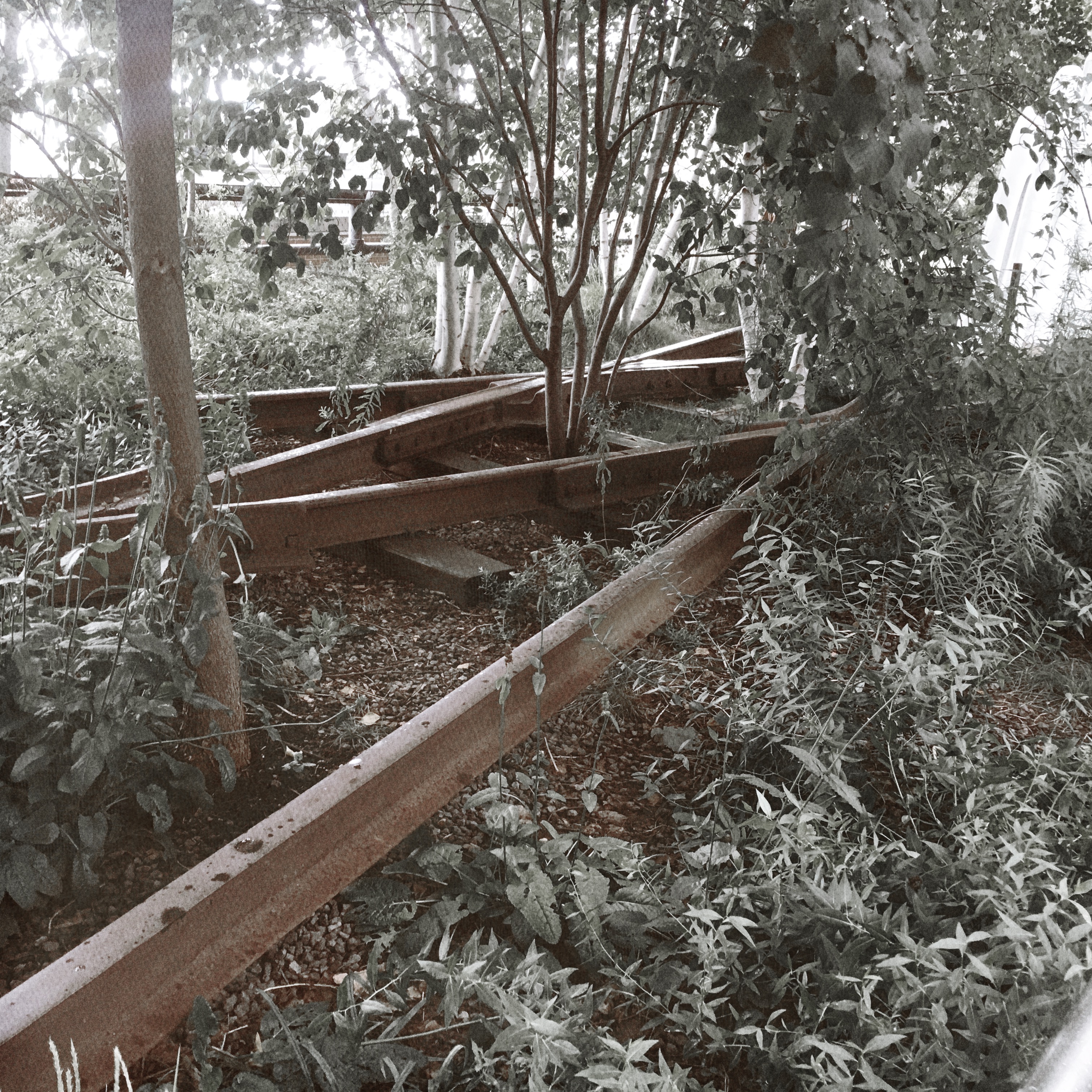 2017-08-15 12.59.51-1