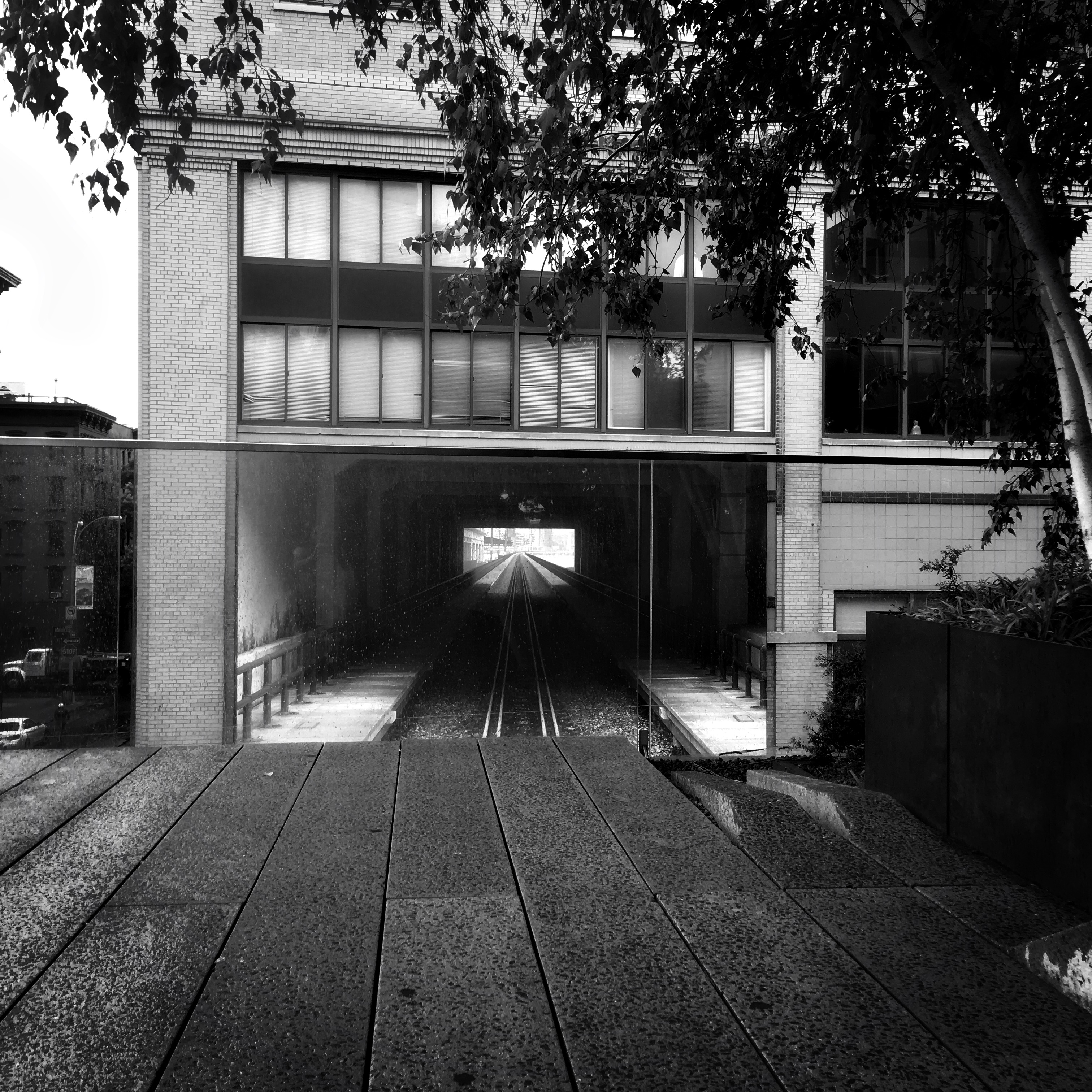 2017-08-15 13.01.34-1