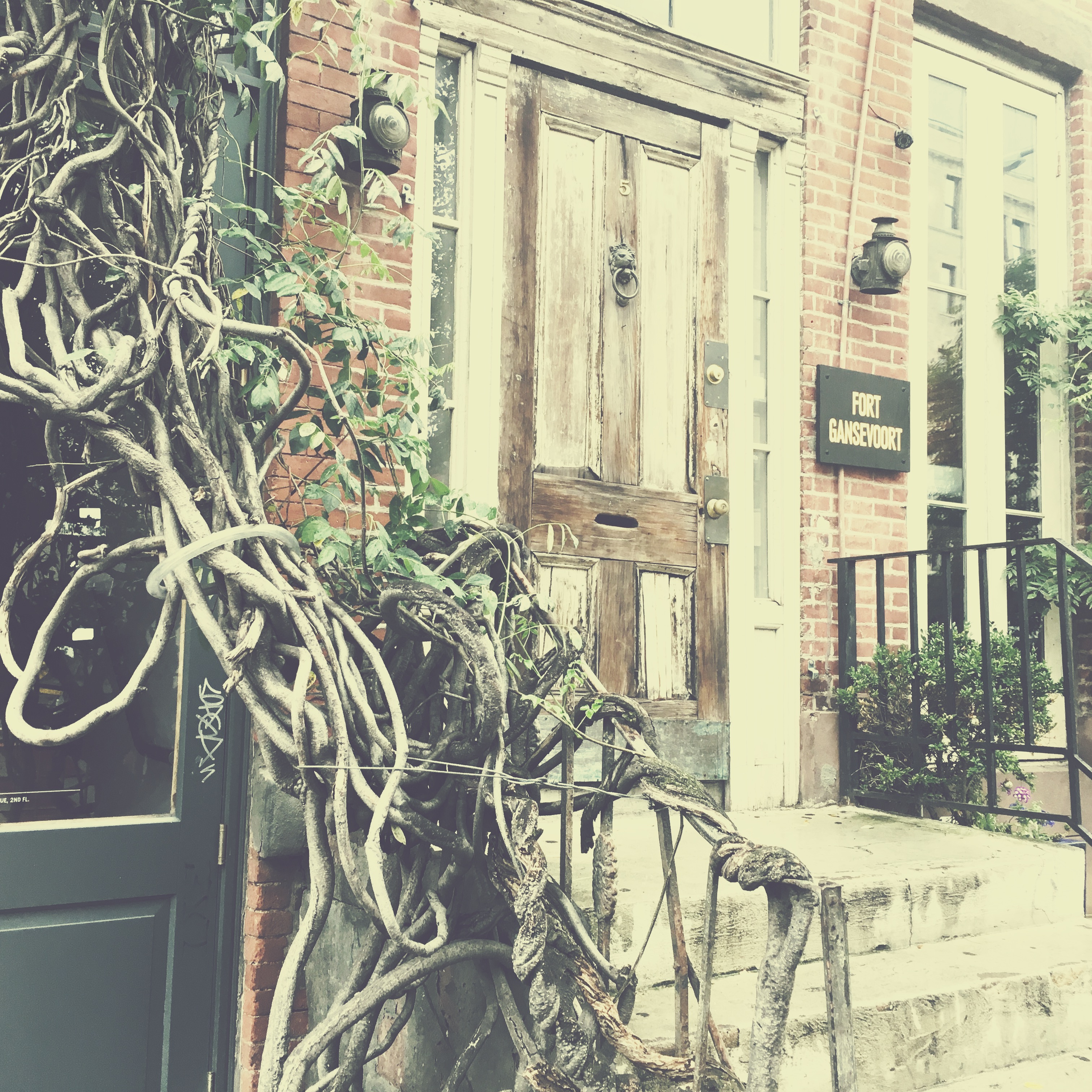 2017-08-15 13.06.38-1