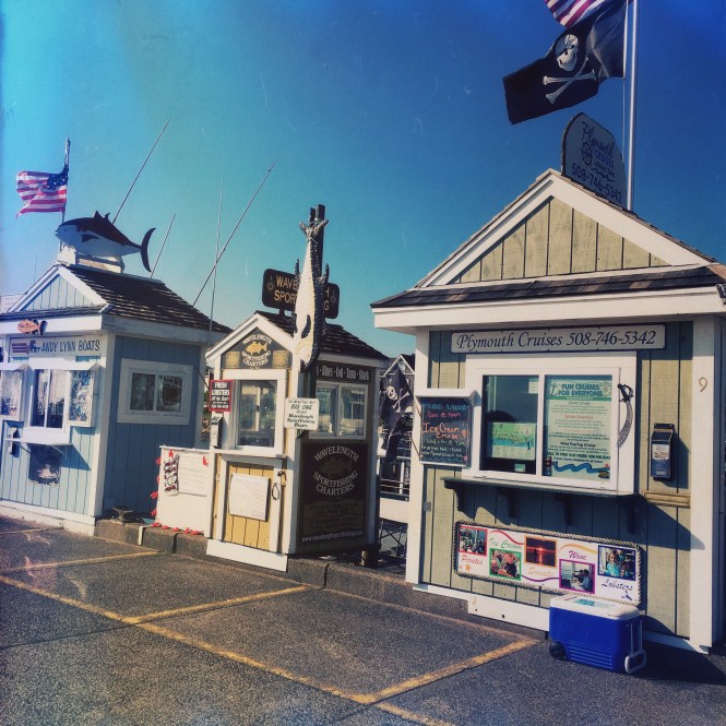 2017-08-20 08.32.14-1