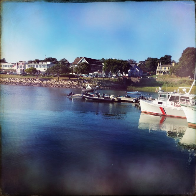 2017-08-20 08.33.09-2