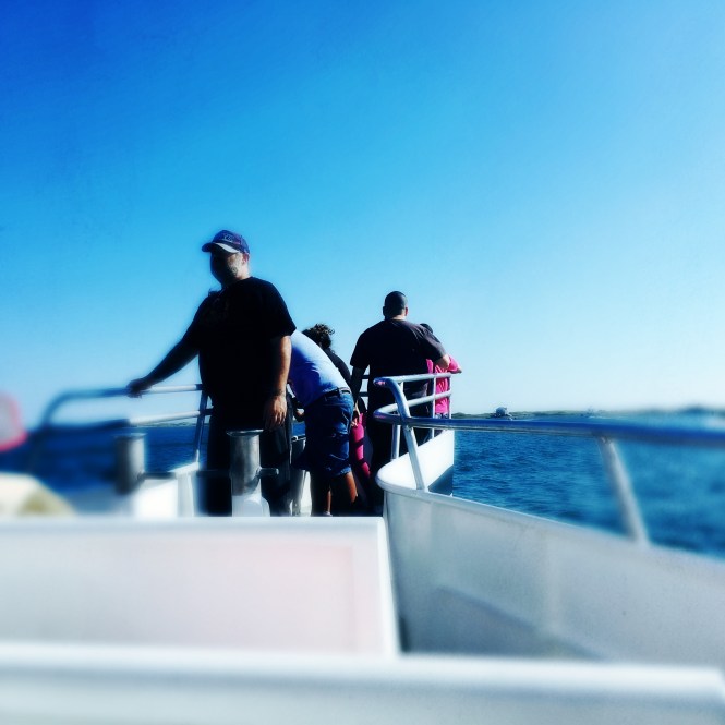 2017-08-20 09.15.41-2