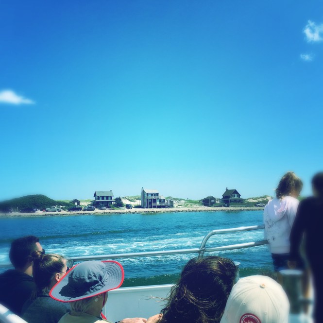 2017-08-20 12.45.57-2