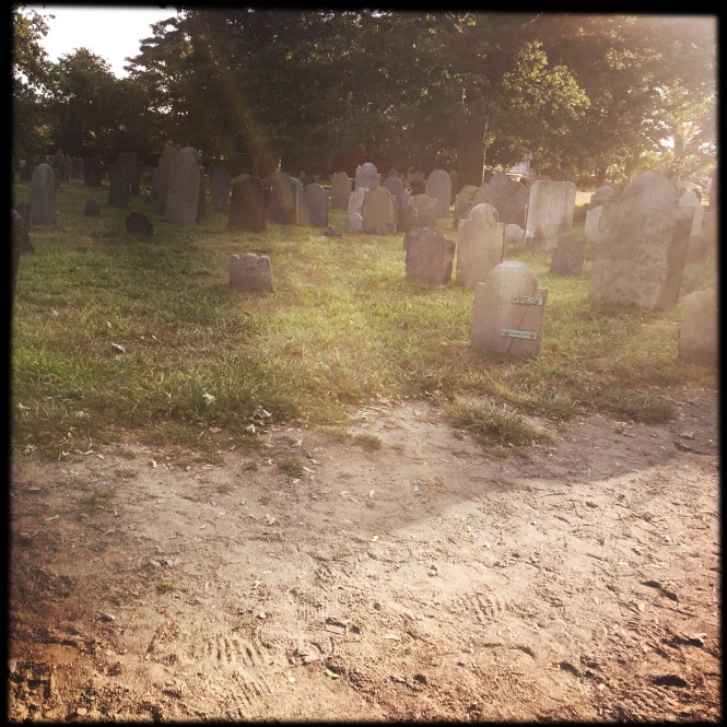 2017-08-20 17.58.58-1