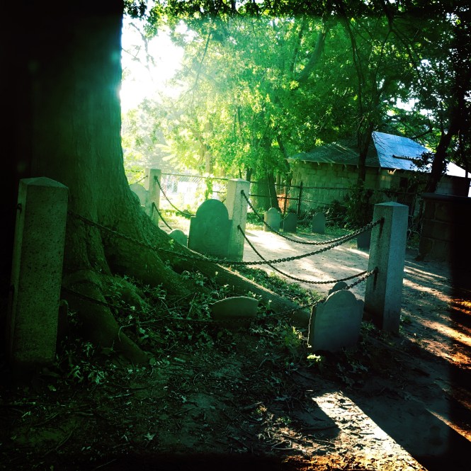 2017-08-20 18.03.56-1