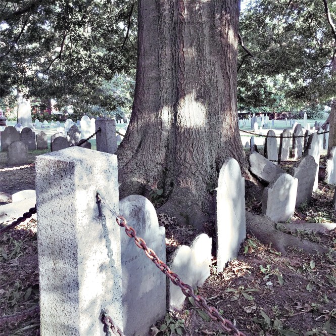 2017-08-20 18.04.22-1