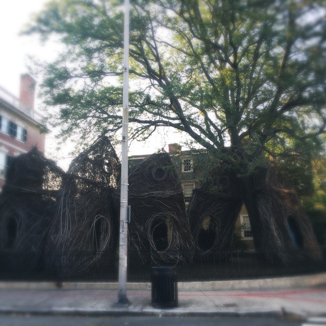 2017-08-20 18.27.53-1