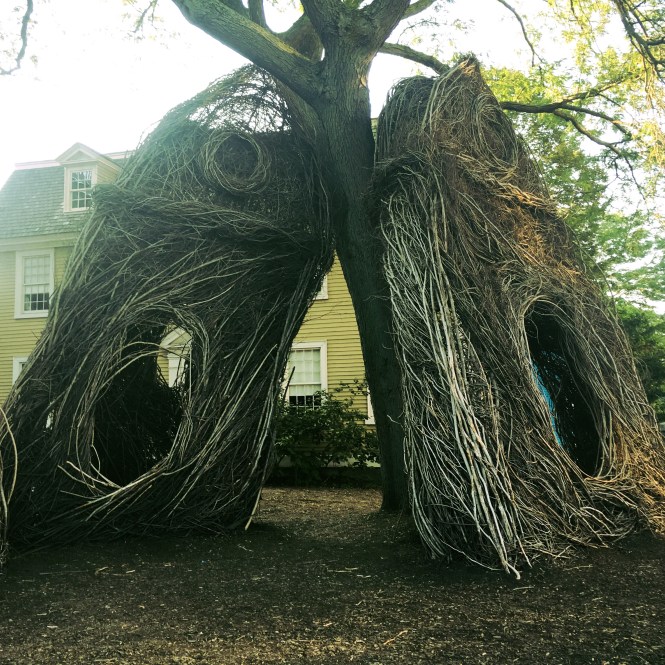 2017-08-20 18.28.28-2