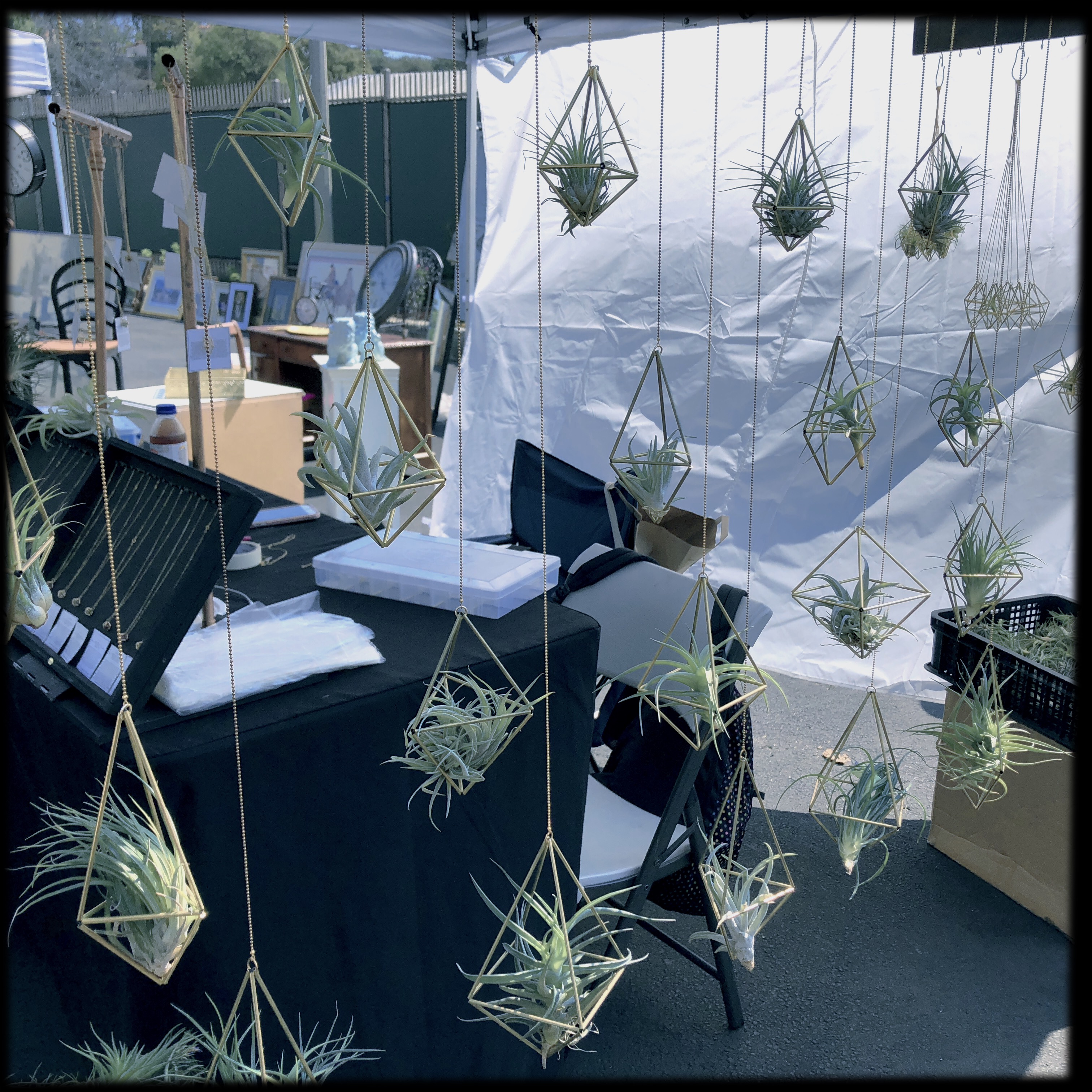 HipstamaticPhoto-555788111.208898