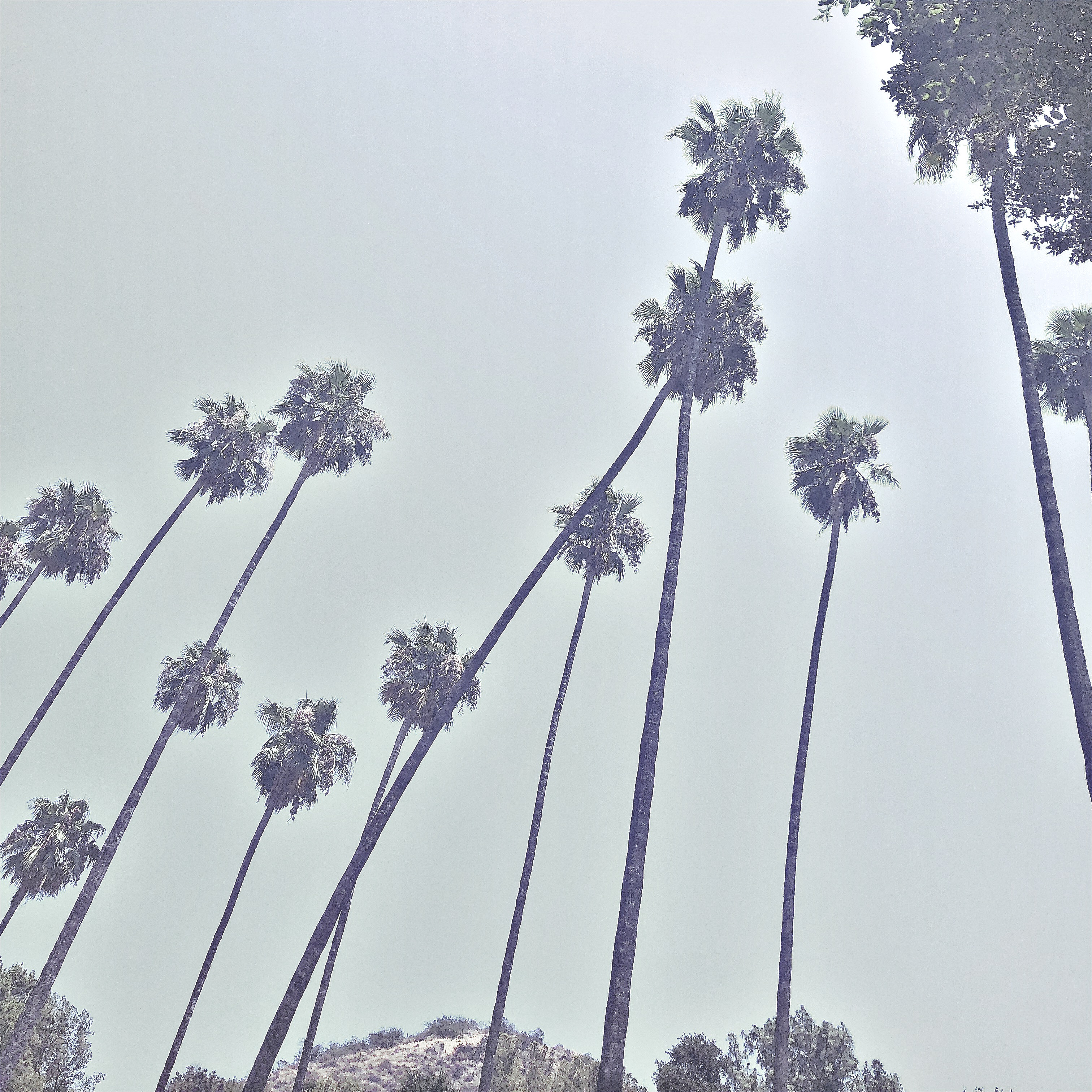 HipstamaticPhoto-555798352.147960